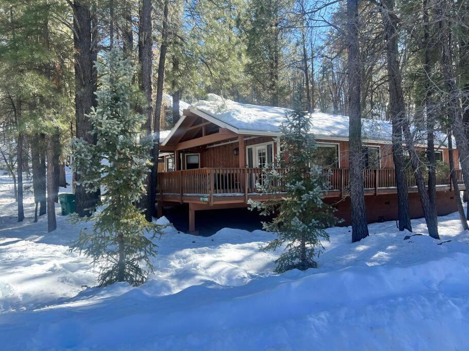 The Bluejay Cabin At Munds Park, Az! Sedona Ngoại thất bức ảnh