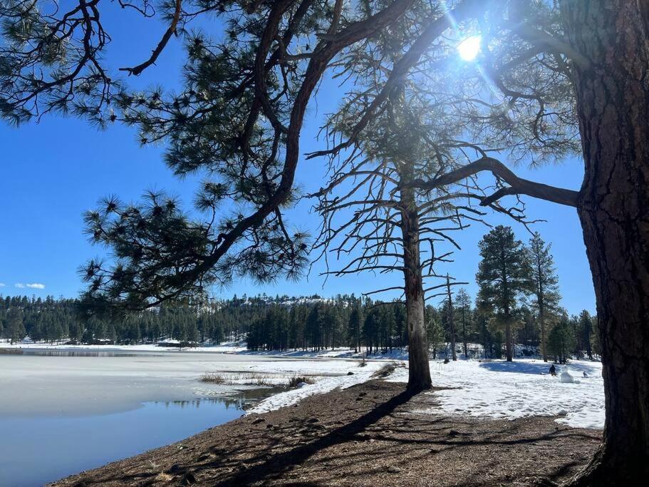 The Bluejay Cabin At Munds Park, Az! Sedona Ngoại thất bức ảnh
