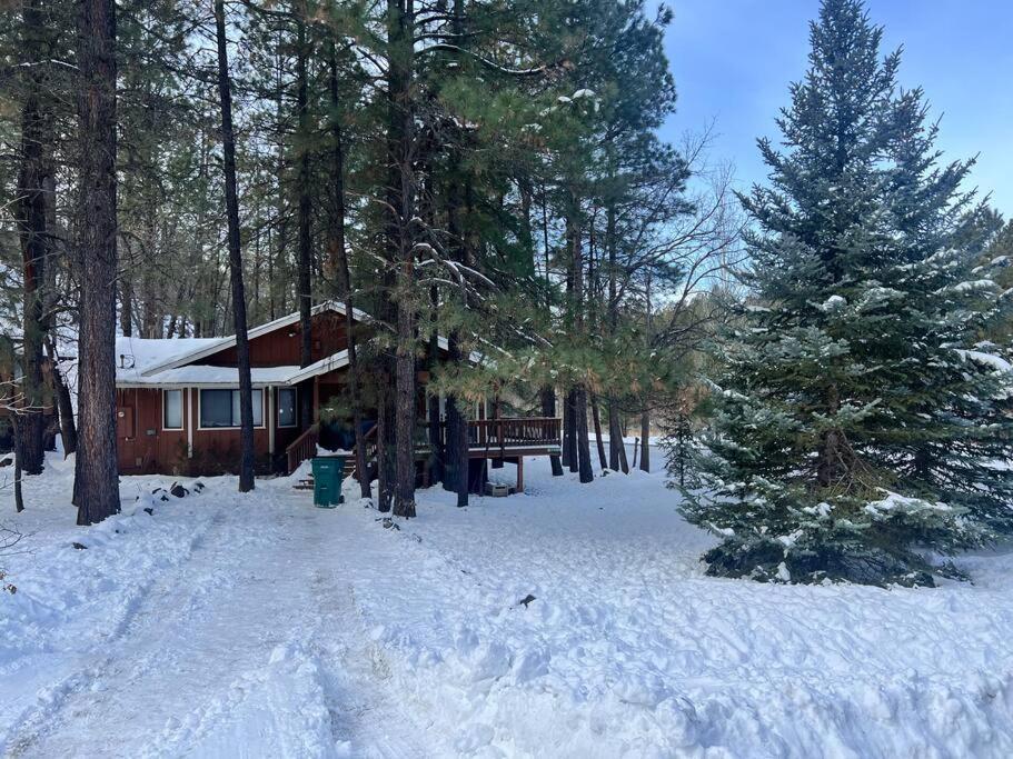 The Bluejay Cabin At Munds Park, Az! Sedona Ngoại thất bức ảnh