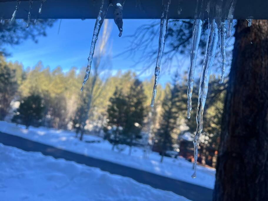 The Bluejay Cabin At Munds Park, Az! Sedona Ngoại thất bức ảnh