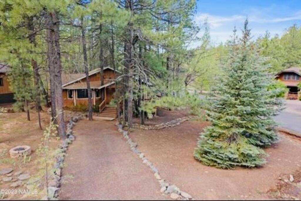 The Bluejay Cabin At Munds Park, Az! Sedona Ngoại thất bức ảnh