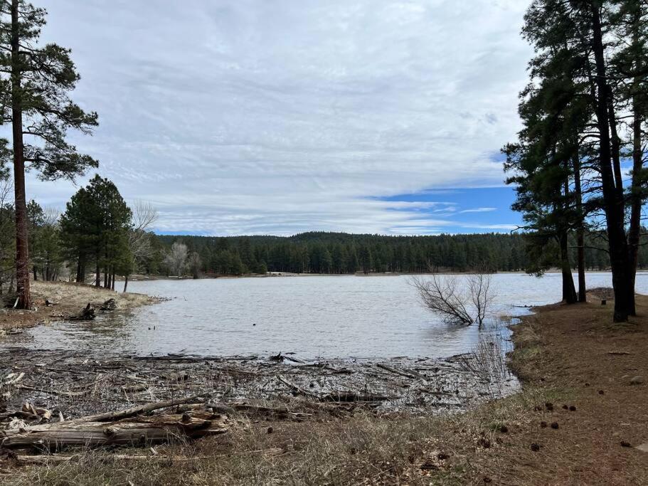 The Bluejay Cabin At Munds Park, Az! Sedona Ngoại thất bức ảnh